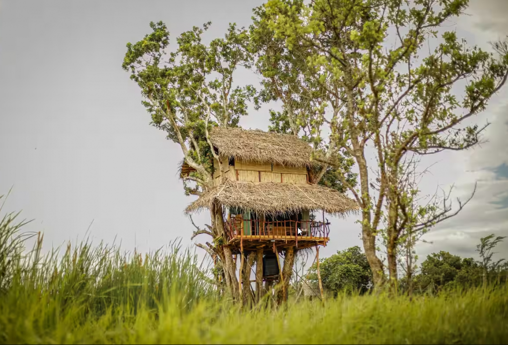 斯里兰卡Hiriwadunna的树屋attr($title); ?>